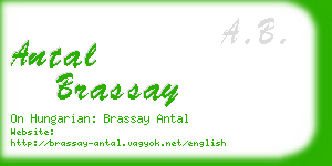 antal brassay business card